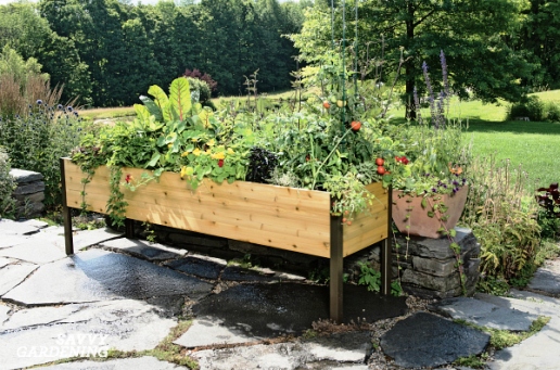 مزایای باغبانی به سبک بستر مرتفع